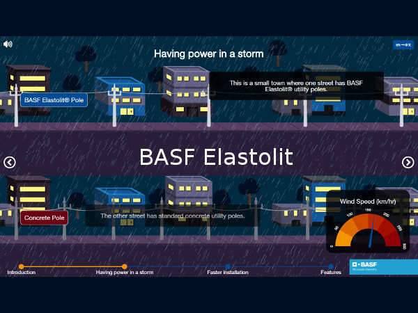 BASF Elastolit
