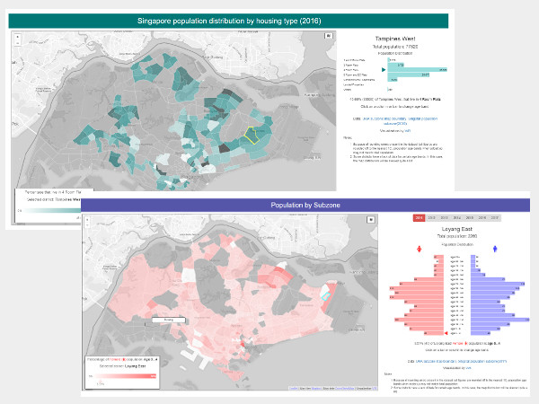 SG Demographics
